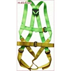Full Body Safety Harnes ADELA HD45 Body Harness Green 1