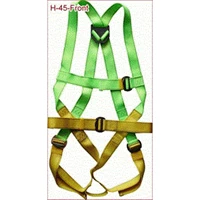 Full Body Safety Harness ADELA HD45 Body Harness Green 